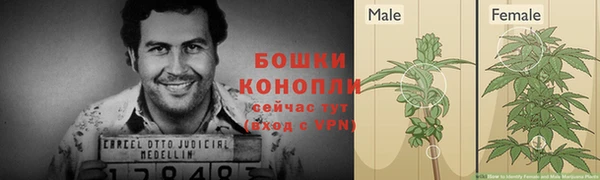 спайс Пестово