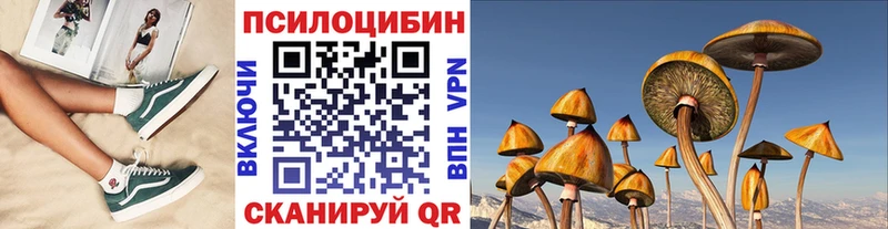 Галлюциногенные грибы Psilocybe  Борисоглебск 