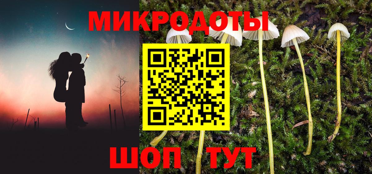 Псилоцибиновые грибы Psilocybine cubensis Борисоглебск