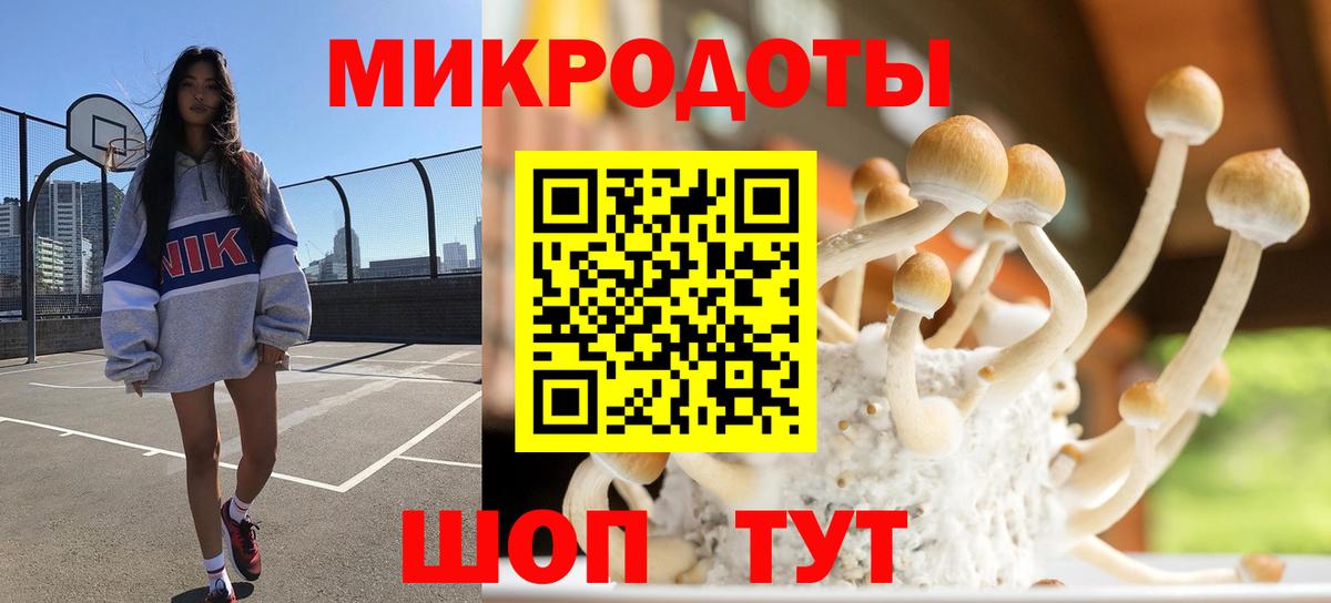 Псилоцибиновые грибы мухоморы Борисоглебск