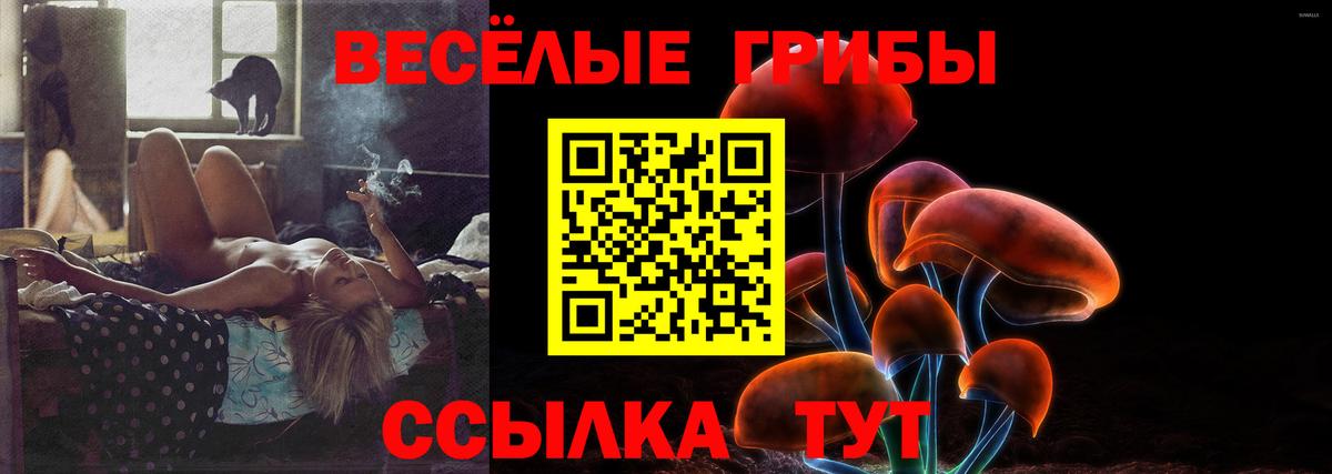 Галлюциногенные грибы прущие грибы  Борисоглебск 