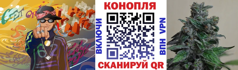 как найти закладки  Борисоглебск  площадка клад  Каннабис семена 